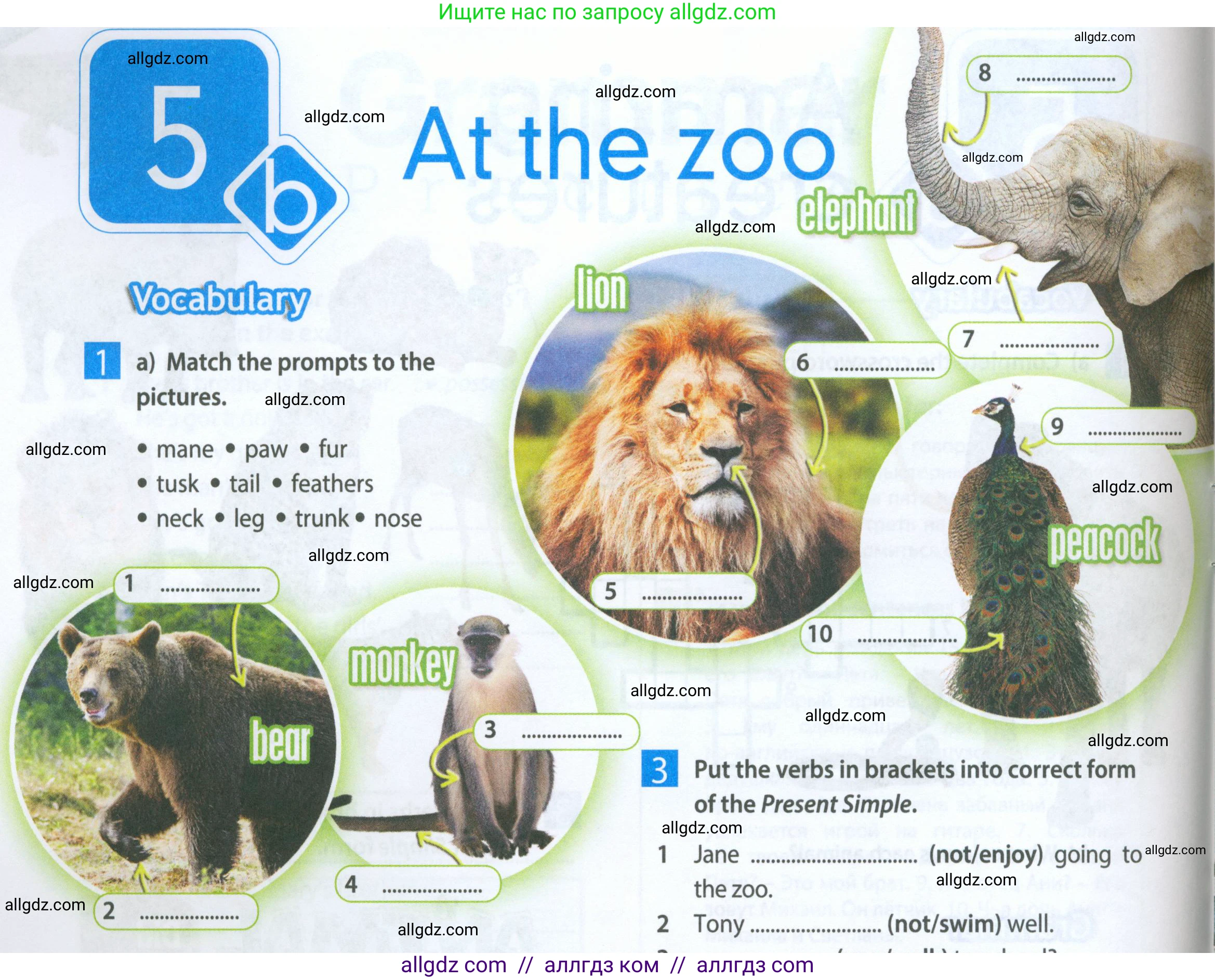 Английский язык (english), 5 класс Рабочая тетрадь (workbook), авторы: Ваулина Юлия Евгеньевна (Vaulina Julia), Дули Дженни (Dooley Jenny), Подоляко Ольга Евгеньевна (Podolyako Olga), Эванс Вирджиния (Evans Virginia), издательство Просвещение, Москва, 2023, жёлтого цвета, страница 34, номер 1, Условие 2023-2027