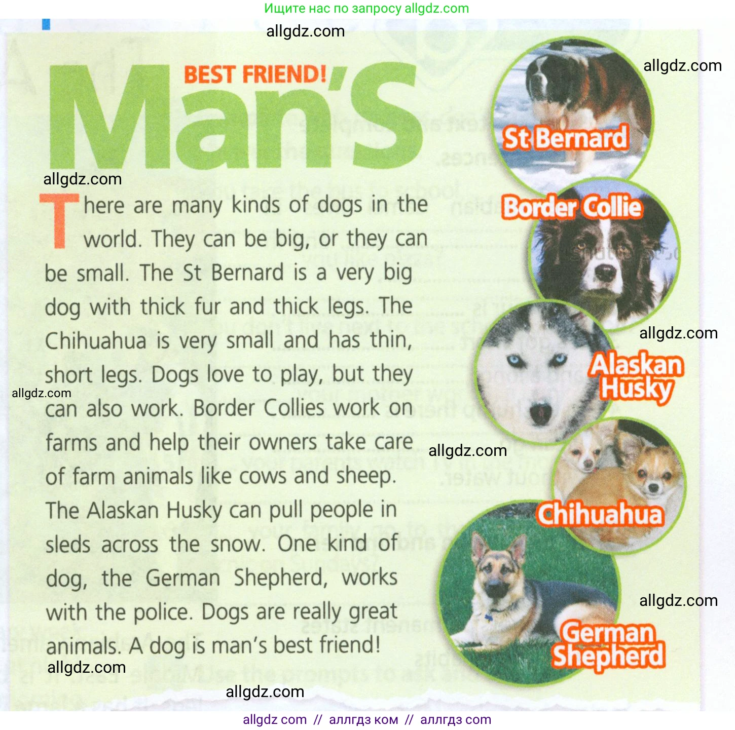 Английский язык (english), 5 класс Рабочая тетрадь (workbook), авторы: Ваулина Юлия Евгеньевна (Vaulina Julia), Дули Дженни (Dooley Jenny), Подоляко Ольга Евгеньевна (Podolyako Olga), Эванс Вирджиния (Evans Virginia), издательство Просвещение, Москва, 2023, жёлтого цвета, страница 35, номер 1, Условие 2023-2027 (продолжение 2)