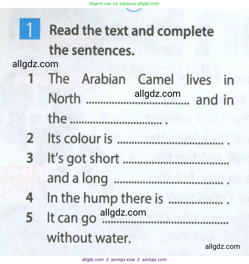 Английский язык (english), 5 класс Рабочая тетрадь (workbook), авторы: Ваулина Юлия Евгеньевна (Vaulina Julia), Дули Дженни (Dooley Jenny), Подоляко Ольга Евгеньевна (Podolyako Olga), Эванс Вирджиния (Evans Virginia), издательство Просвещение, Москва, 2023, жёлтого цвета, страница 36, номер 1, Условие 2023-2027