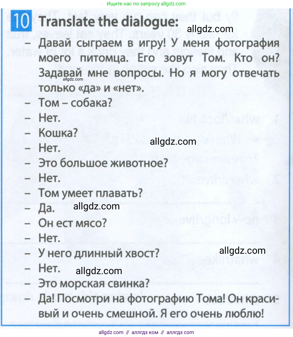 Английский язык (english), 5 класс Рабочая тетрадь (workbook), авторы: Ваулина Юлия Евгеньевна (Vaulina Julia), Дули Дженни (Dooley Jenny), Подоляко Ольга Евгеньевна (Podolyako Olga), Эванс Вирджиния (Evans Virginia), издательство Просвещение, Москва, 2023, жёлтого цвета, страница 38, номер 10, Условие 2023-2027