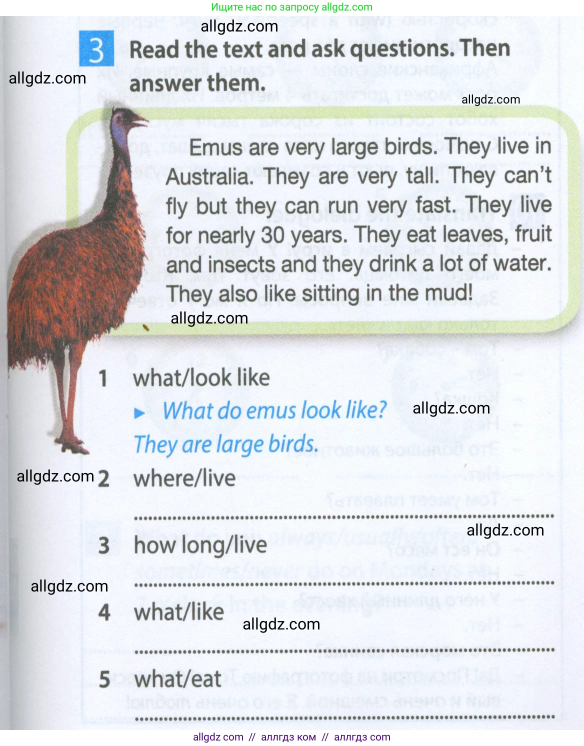 Английский язык (english), 5 класс Рабочая тетрадь (workbook), авторы: Ваулина Юлия Евгеньевна (Vaulina Julia), Дули Дженни (Dooley Jenny), Подоляко Ольга Евгеньевна (Podolyako Olga), Эванс Вирджиния (Evans Virginia), издательство Просвещение, Москва, 2023, жёлтого цвета, страница 37, номер 3, Условие 2023-2027