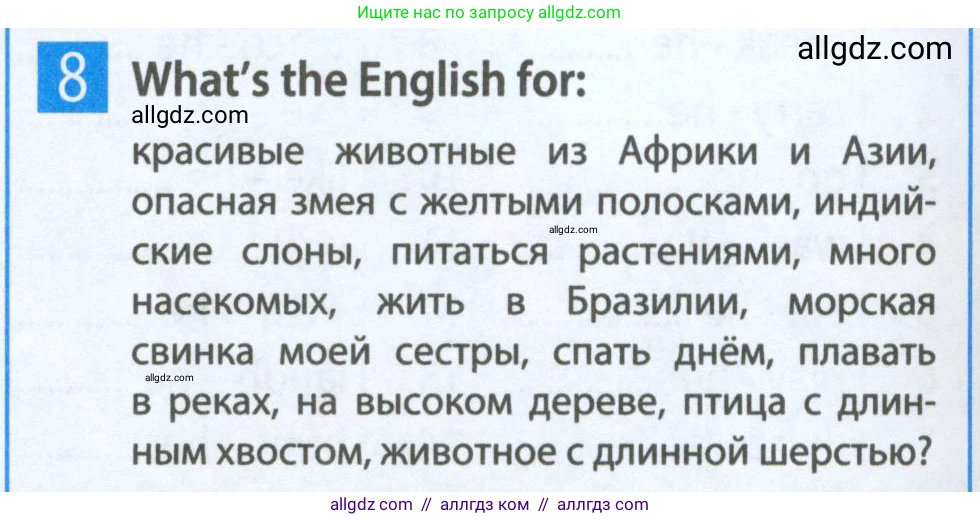 Английский язык (english), 5 класс Рабочая тетрадь (workbook), авторы: Ваулина Юлия Евгеньевна (Vaulina Julia), Дули Дженни (Dooley Jenny), Подоляко Ольга Евгеньевна (Podolyako Olga), Эванс Вирджиния (Evans Virginia), издательство Просвещение, Москва, 2023, жёлтого цвета, страница 38, номер 8, Условие 2023-2027