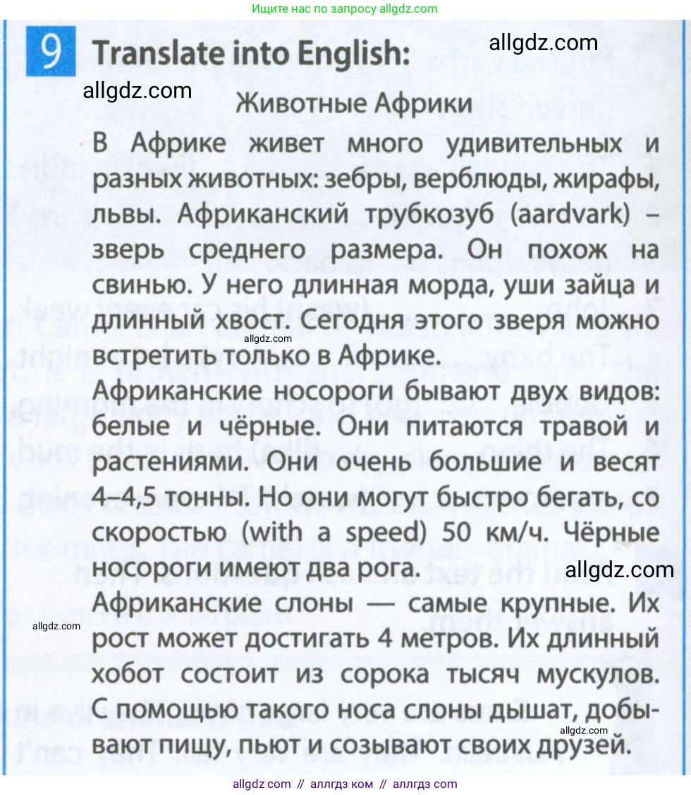 Английский язык (english), 5 класс Рабочая тетрадь (workbook), авторы: Ваулина Юлия Евгеньевна (Vaulina Julia), Дули Дженни (Dooley Jenny), Подоляко Ольга Евгеньевна (Podolyako Olga), Эванс Вирджиния (Evans Virginia), издательство Просвещение, Москва, 2023, жёлтого цвета, страница 38, номер 9, Условие 2023-2027
