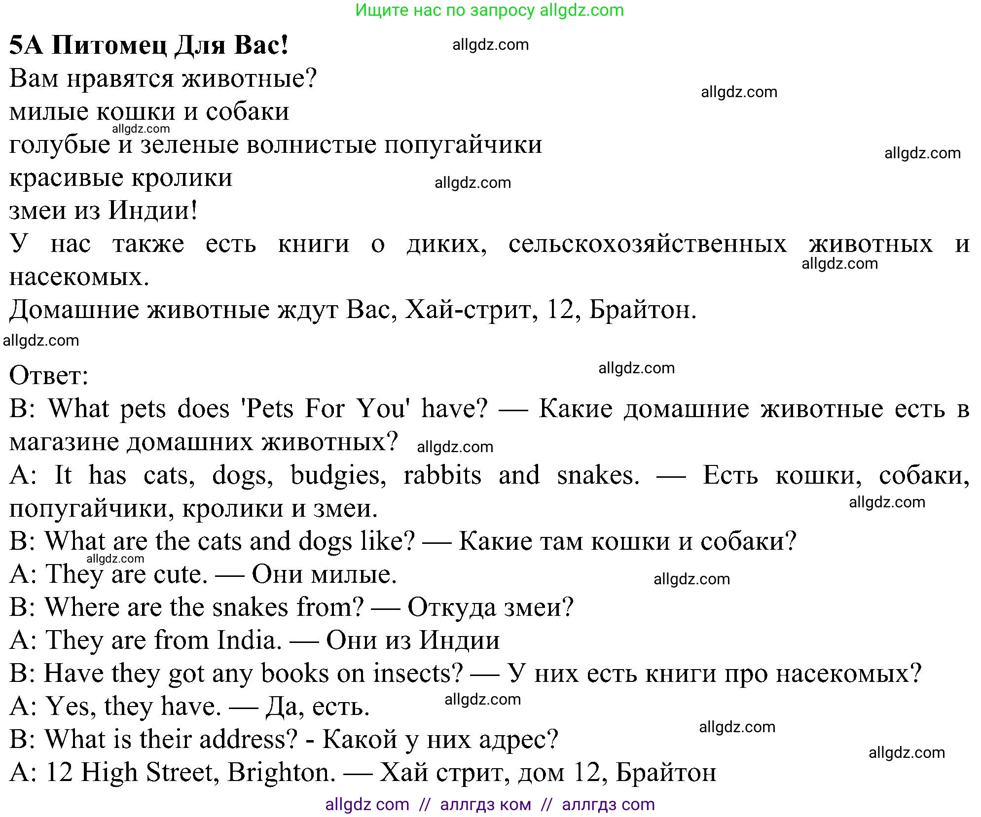 Английский язык (english), 5 класс Рабочая тетрадь (workbook), авторы: Ваулина Юлия Евгеньевна (Vaulina Julia), Дули Дженни (Dooley Jenny), Подоляко Ольга Евгеньевна (Podolyako Olga), Эванс Вирджиния (Evans Virginia), издательство Просвещение, Москва, 2023, жёлтого цвета, страница 70, номер 5, Решение 1 (2023-2027)