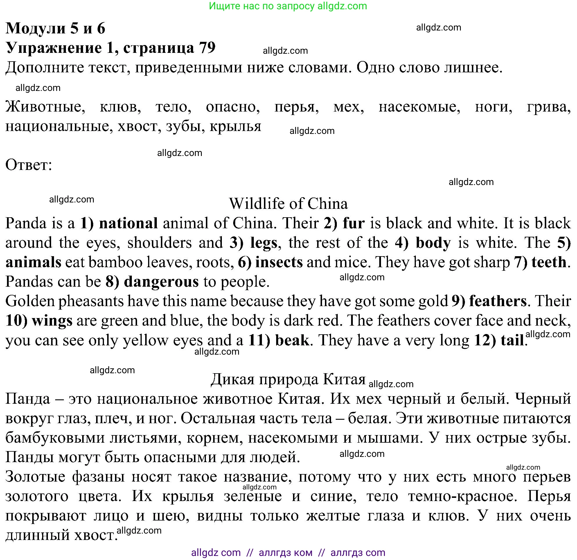 Английский язык (english), 5 класс Рабочая тетрадь (workbook), авторы: Ваулина Юлия Евгеньевна (Vaulina Julia), Дули Дженни (Dooley Jenny), Подоляко Ольга Евгеньевна (Podolyako Olga), Эванс Вирджиния (Evans Virginia), издательство Просвещение, Москва, 2023, жёлтого цвета, страница 79, номер 1, Решение 1 (2023-2027)