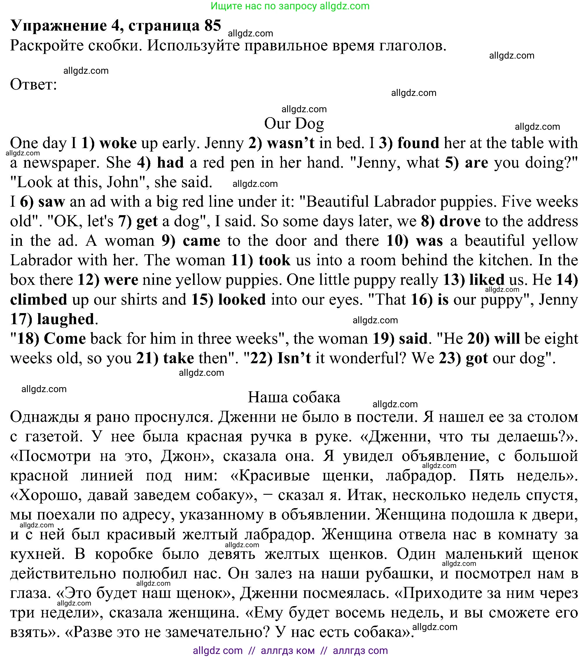 Английский язык (english), 5 класс Рабочая тетрадь (workbook), авторы: Ваулина Юлия Евгеньевна (Vaulina Julia), Дули Дженни (Dooley Jenny), Подоляко Ольга Евгеньевна (Podolyako Olga), Эванс Вирджиния (Evans Virginia), издательство Просвещение, Москва, 2023, жёлтого цвета, страница 85, номер 4, Решение 1 (2023-2027)