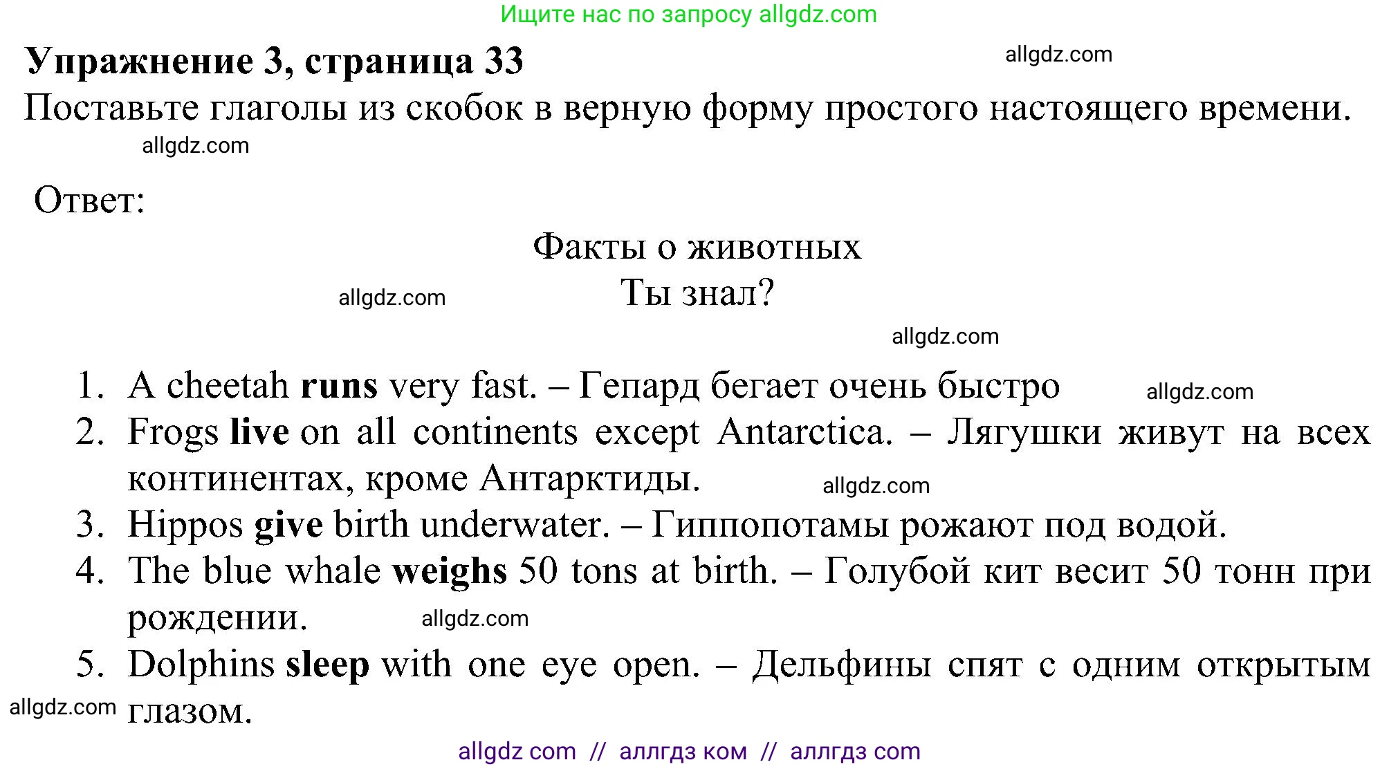 Английский язык (english), 5 класс Рабочая тетрадь (workbook), авторы: Ваулина Юлия Евгеньевна (Vaulina Julia), Дули Дженни (Dooley Jenny), Подоляко Ольга Евгеньевна (Podolyako Olga), Эванс Вирджиния (Evans Virginia), издательство Просвещение, Москва, 2023, жёлтого цвета, страница 33, номер 3, Решение 1 (2023-2027)