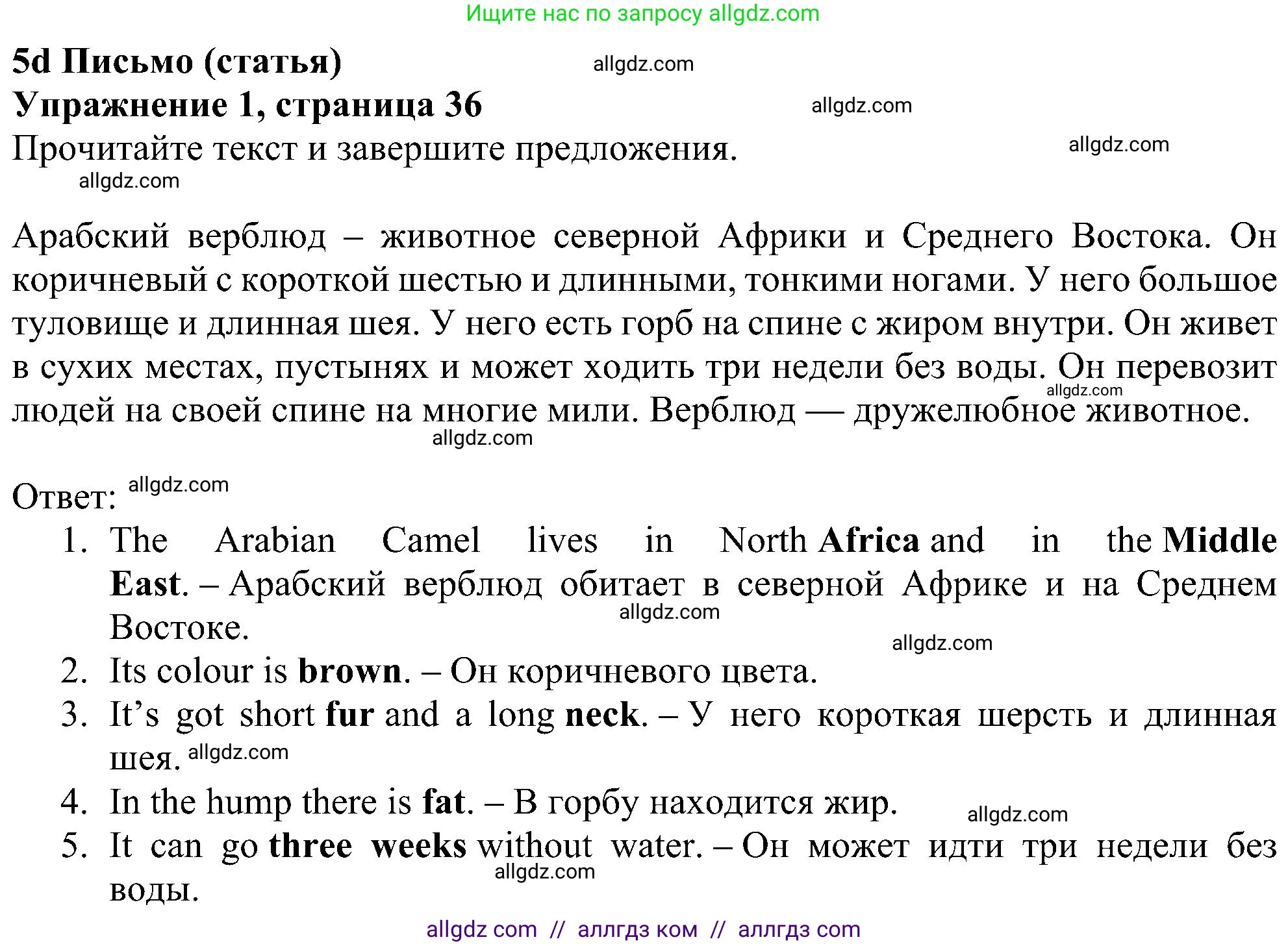 Английский язык (english), 5 класс Рабочая тетрадь (workbook), авторы: Ваулина Юлия Евгеньевна (Vaulina Julia), Дули Дженни (Dooley Jenny), Подоляко Ольга Евгеньевна (Podolyako Olga), Эванс Вирджиния (Evans Virginia), издательство Просвещение, Москва, 2023, жёлтого цвета, страница 36, номер 1, Решение 1 (2023-2027)