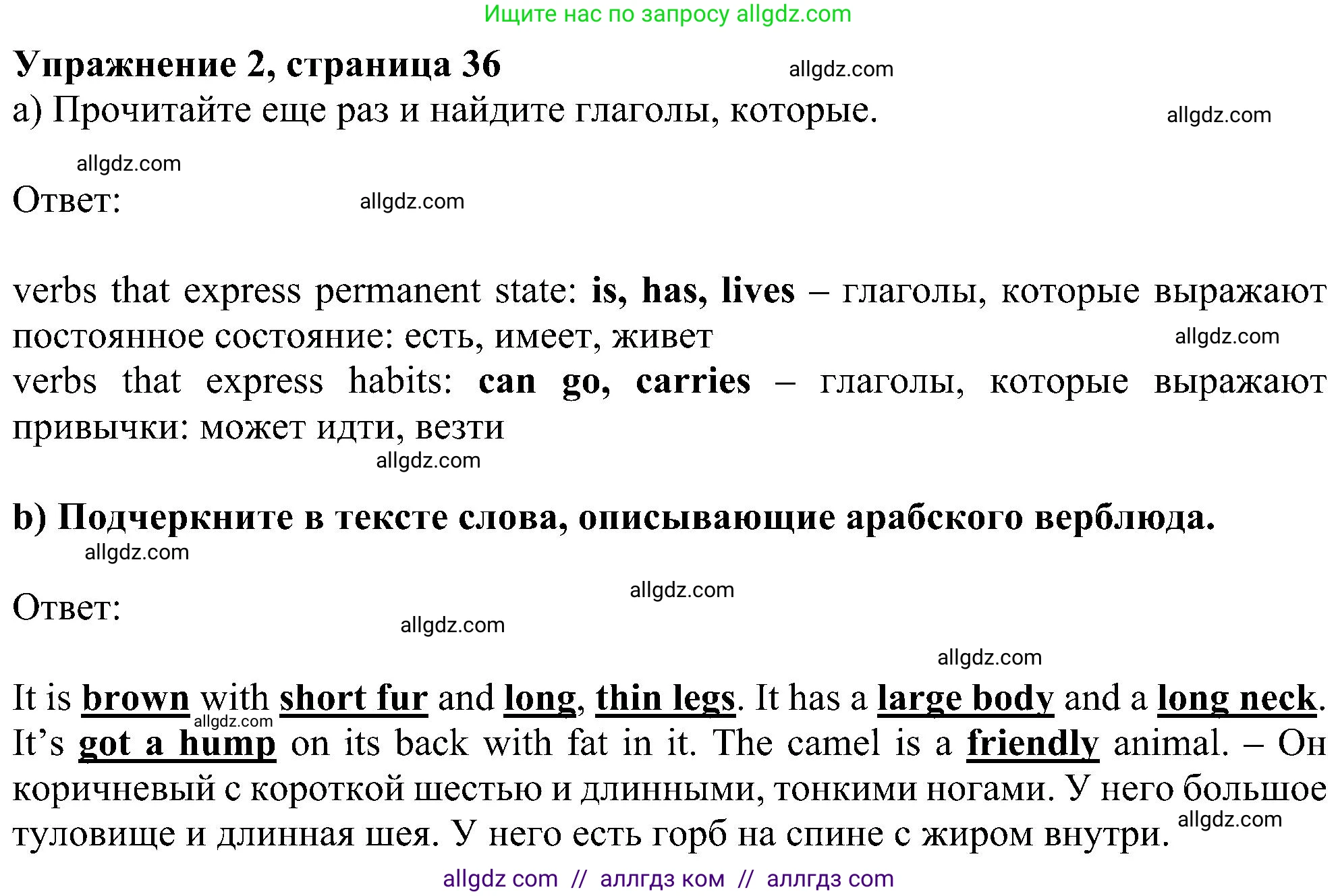 Английский язык (english), 5 класс Рабочая тетрадь (workbook), авторы: Ваулина Юлия Евгеньевна (Vaulina Julia), Дули Дженни (Dooley Jenny), Подоляко Ольга Евгеньевна (Podolyako Olga), Эванс Вирджиния (Evans Virginia), издательство Просвещение, Москва, 2023, жёлтого цвета, страница 36, номер 2, Решение 1 (2023-2027)