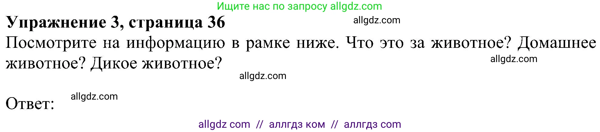 Английский язык (english), 5 класс Рабочая тетрадь (workbook), авторы: Ваулина Юлия Евгеньевна (Vaulina Julia), Дули Дженни (Dooley Jenny), Подоляко Ольга Евгеньевна (Podolyako Olga), Эванс Вирджиния (Evans Virginia), издательство Просвещение, Москва, 2023, жёлтого цвета, страница 36, номер 3, Решение 1 (2023-2027)
