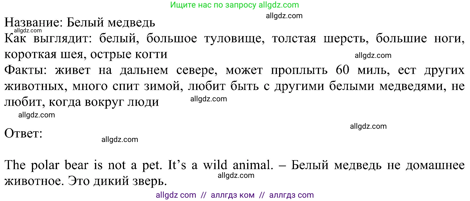 Английский язык (english), 5 класс Рабочая тетрадь (workbook), авторы: Ваулина Юлия Евгеньевна (Vaulina Julia), Дули Дженни (Dooley Jenny), Подоляко Ольга Евгеньевна (Podolyako Olga), Эванс Вирджиния (Evans Virginia), издательство Просвещение, Москва, 2023, жёлтого цвета, страница 36, номер 3, Решение 1 (2023-2027) (продолжение 2)