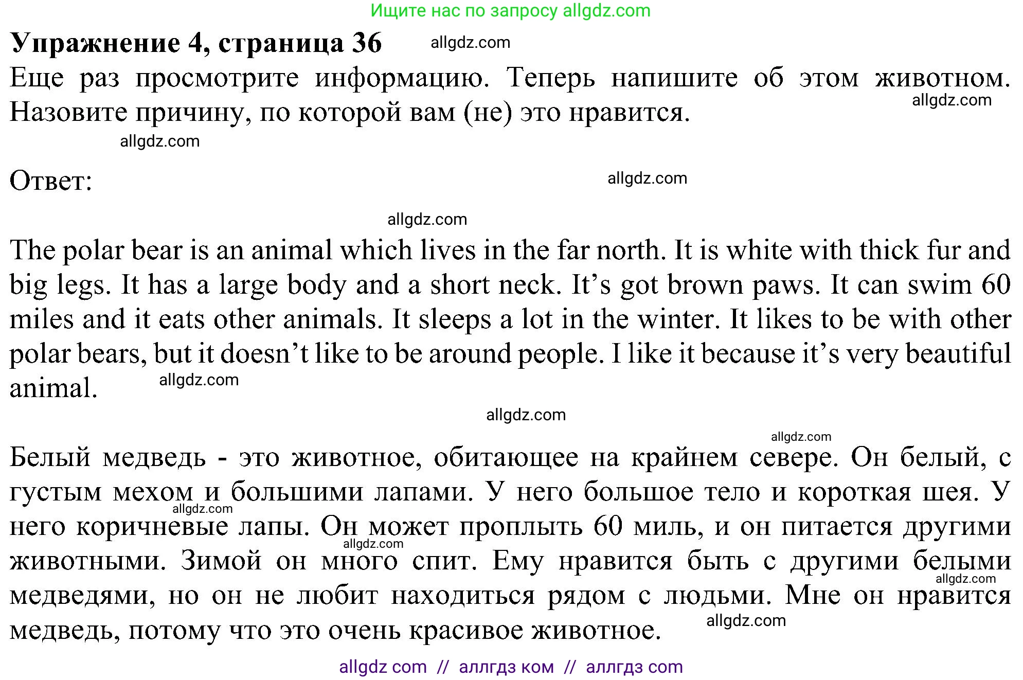 Английский язык (english), 5 класс Рабочая тетрадь (workbook), авторы: Ваулина Юлия Евгеньевна (Vaulina Julia), Дули Дженни (Dooley Jenny), Подоляко Ольга Евгеньевна (Podolyako Olga), Эванс Вирджиния (Evans Virginia), издательство Просвещение, Москва, 2023, жёлтого цвета, страница 36, номер 4, Решение 1 (2023-2027)