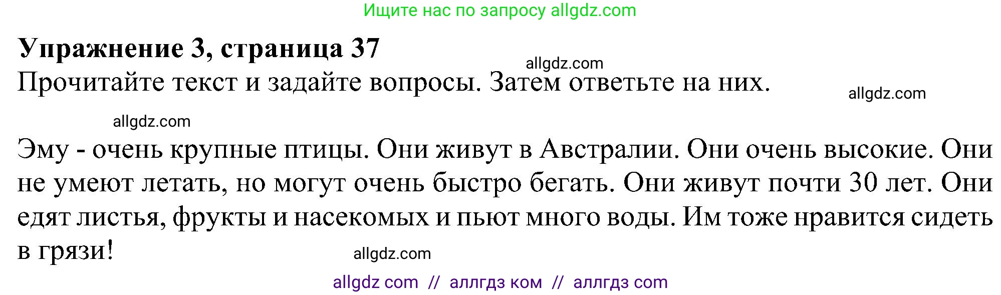 Английский язык (english), 5 класс Рабочая тетрадь (workbook), авторы: Ваулина Юлия Евгеньевна (Vaulina Julia), Дули Дженни (Dooley Jenny), Подоляко Ольга Евгеньевна (Podolyako Olga), Эванс Вирджиния (Evans Virginia), издательство Просвещение, Москва, 2023, жёлтого цвета, страница 37, номер 3, Решение 1 (2023-2027)