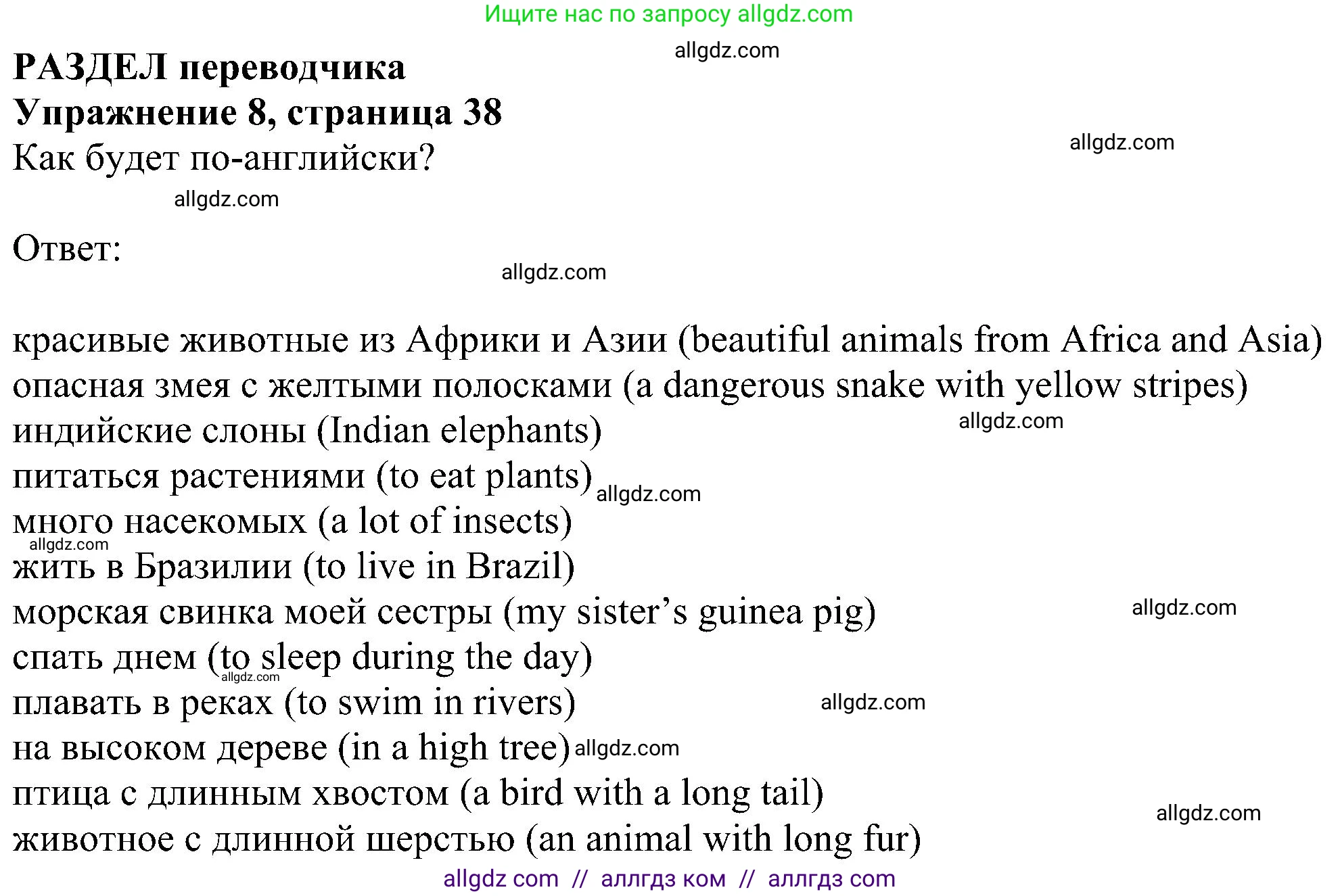 Английский язык (english), 5 класс Рабочая тетрадь (workbook), авторы: Ваулина Юлия Евгеньевна (Vaulina Julia), Дули Дженни (Dooley Jenny), Подоляко Ольга Евгеньевна (Podolyako Olga), Эванс Вирджиния (Evans Virginia), издательство Просвещение, Москва, 2023, жёлтого цвета, страница 38, номер 8, Решение 1 (2023-2027)