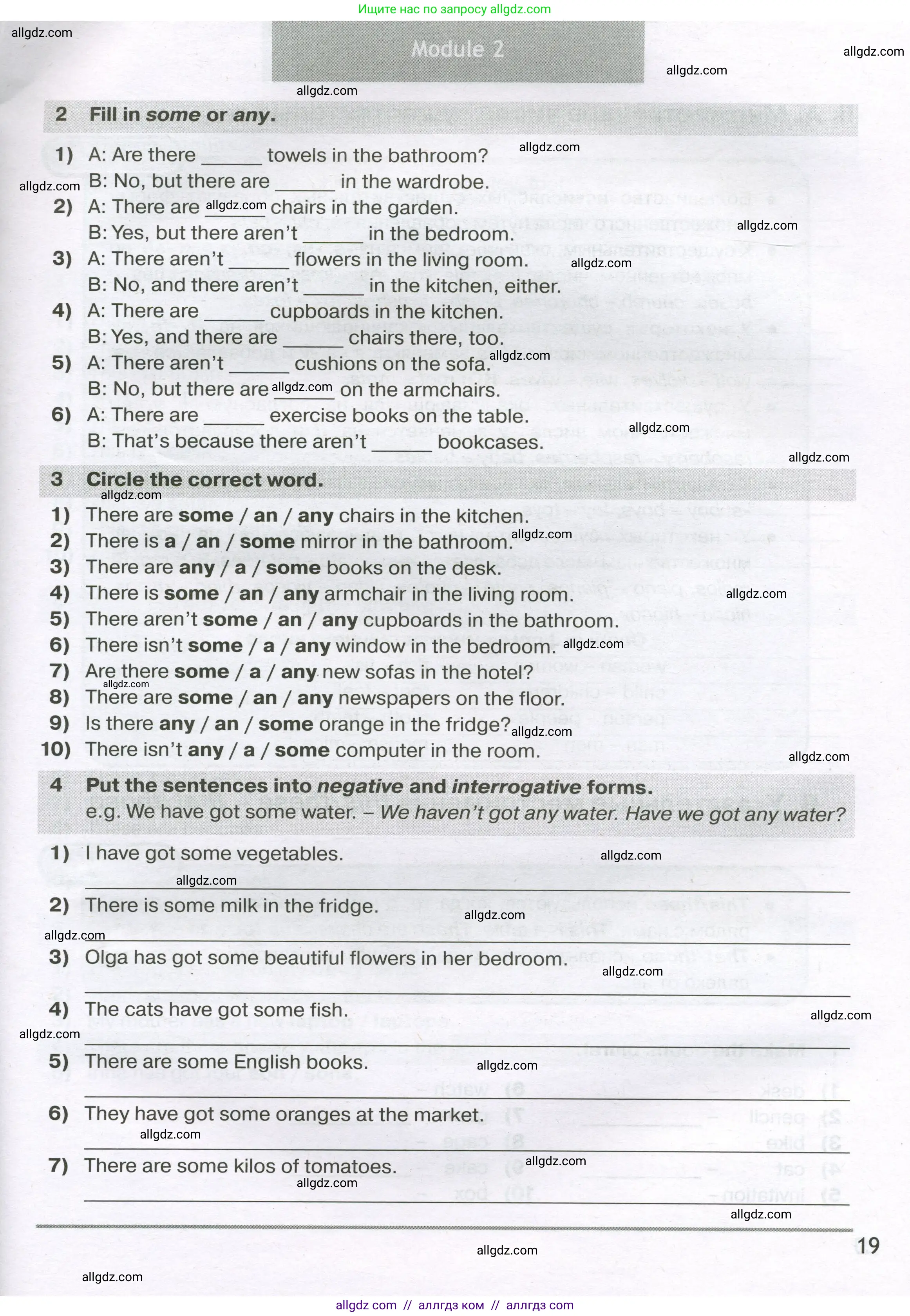 Английский язык (english), 5 класс сборник грамматических упражнений, автор: Смирнов Алексей Валерьевич, издательство Просвещение, Москва, 2023, белого цвета, страница 19