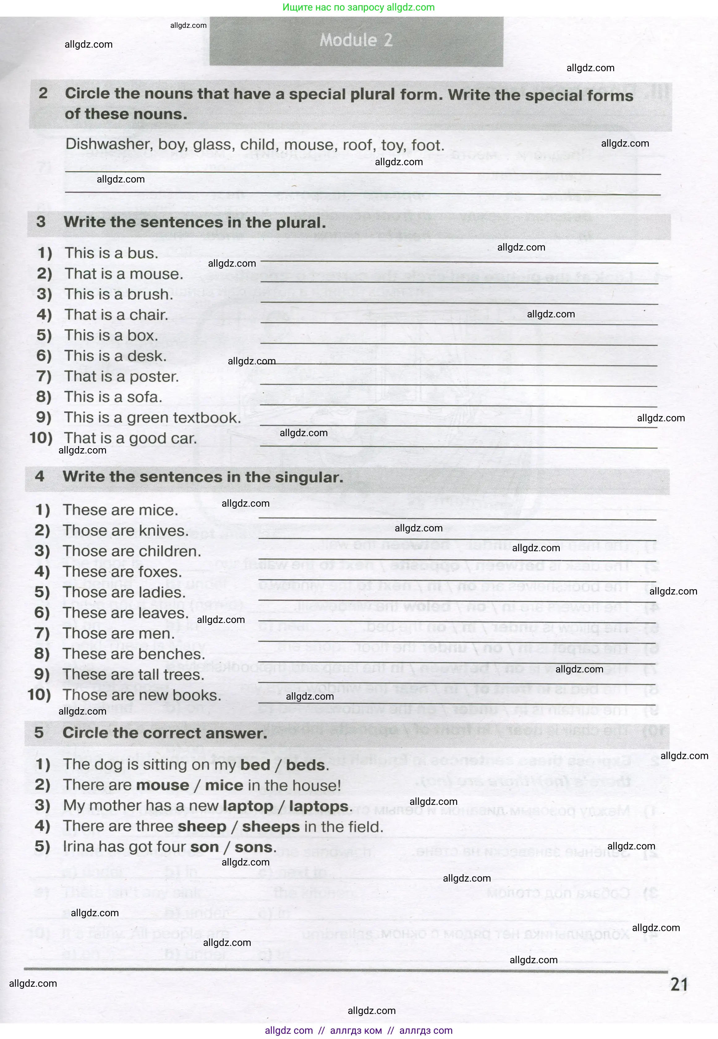 Английский язык (english), 5 класс сборник грамматических упражнений, автор: Смирнов Алексей Валерьевич, издательство Просвещение, Москва, 2023, белого цвета, страница 21