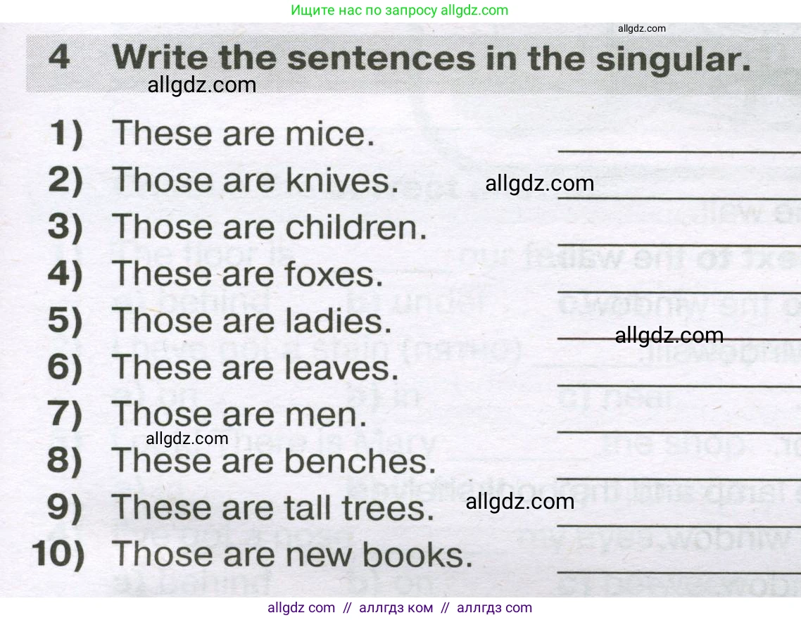 Английский язык (english), 5 класс сборник грамматических упражнений, автор: Смирнов Алексей Валерьевич, издательство Просвещение, Москва, 2023, белого цвета, страница 21, номер 4, Условие