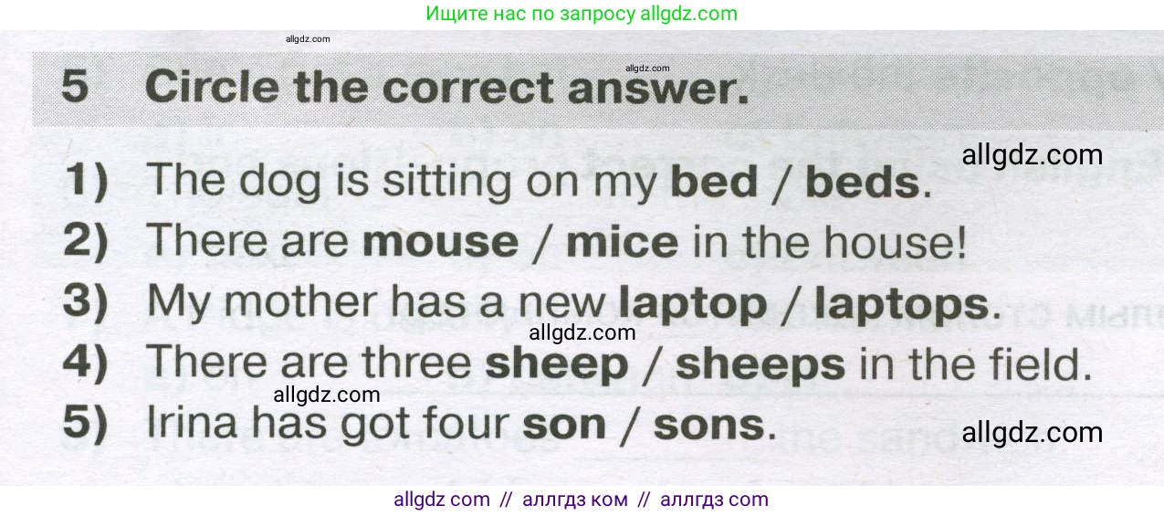 Английский язык (english), 5 класс сборник грамматических упражнений, автор: Смирнов Алексей Валерьевич, издательство Просвещение, Москва, 2023, белого цвета, страница 21, номер 5, Условие