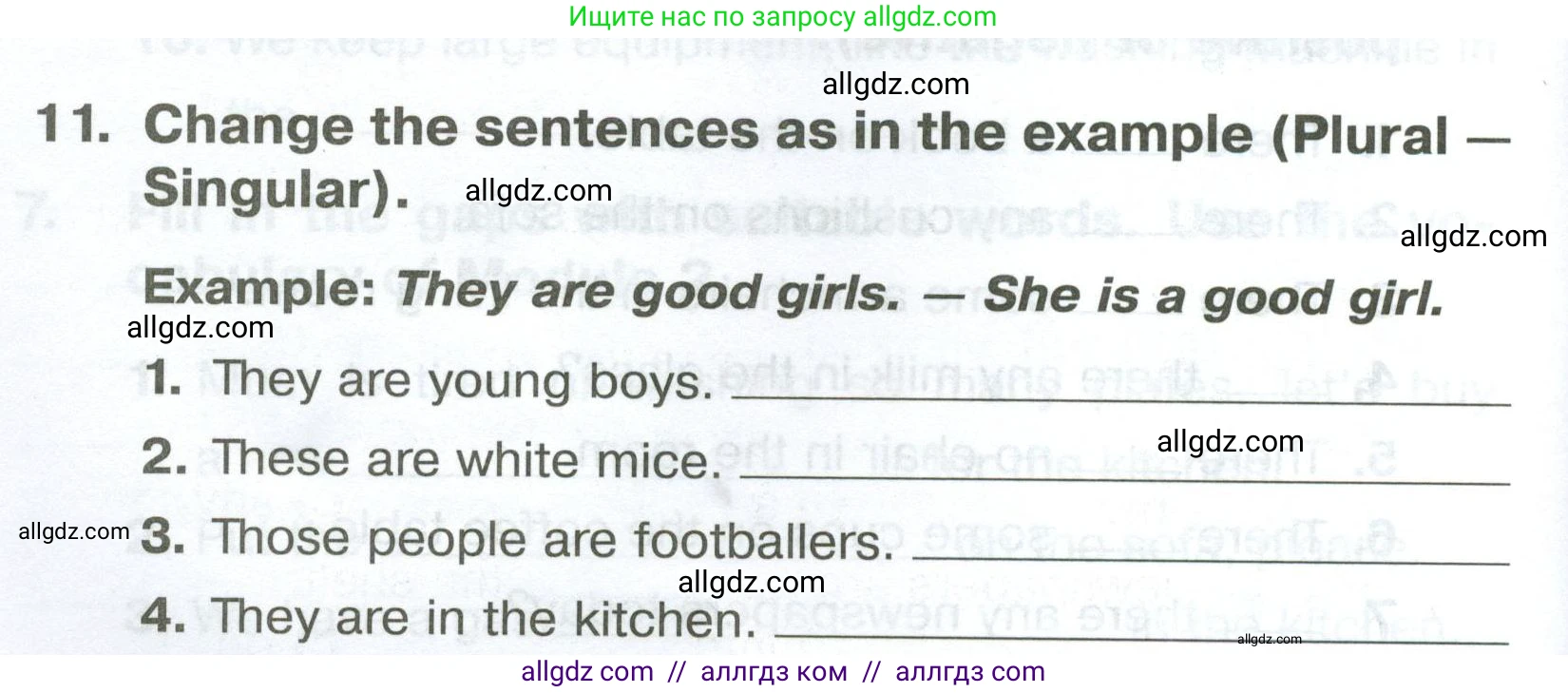 Английский язык (english), 5 класс Тренировочные упражнения в формате ОГЭ (ГИА), авторы: Комиссаров Константин Вячеславович, Кирдяева Ольга Ивановна, издательство Просвещение, Москва, 2023, белого цвета, страница 20, номер 11, Условие