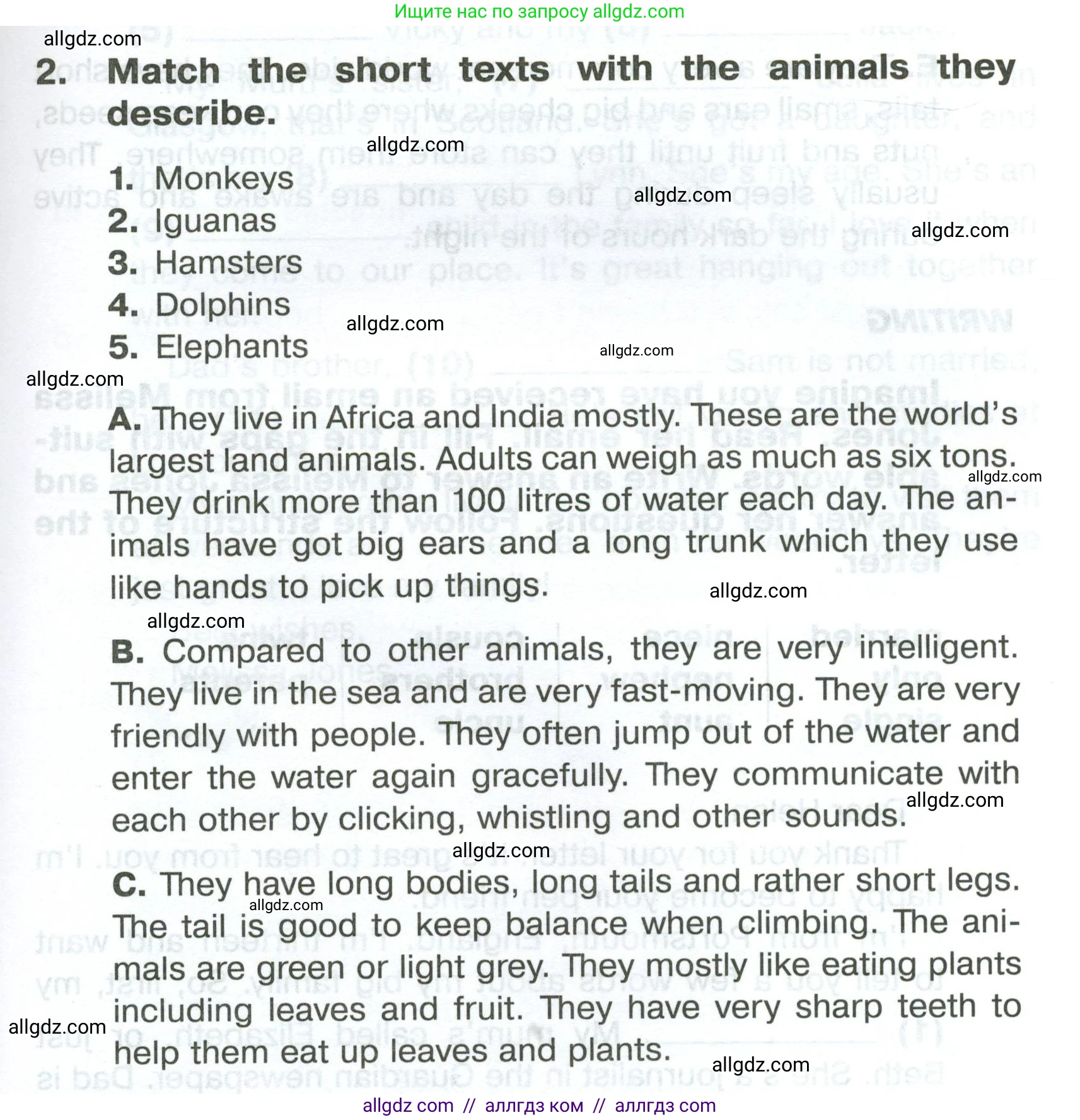 Английский язык (english), 5 класс Тренировочные упражнения в формате ОГЭ (ГИА), авторы: Комиссаров Константин Вячеславович, Кирдяева Ольга Ивановна, издательство Просвещение, Москва, 2023, белого цвета, страница 33, номер 2, Условие