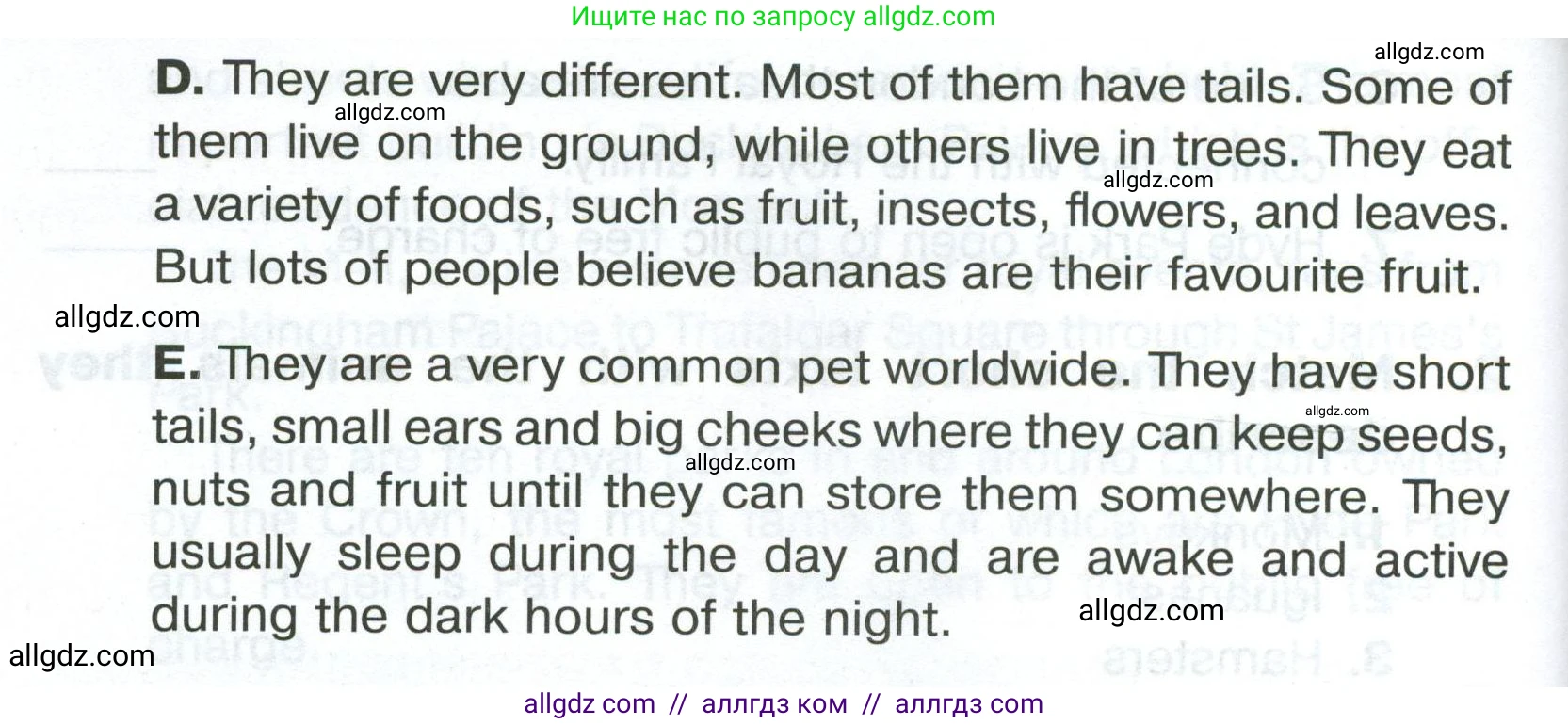 Английский язык (english), 5 класс Тренировочные упражнения в формате ОГЭ (ГИА), авторы: Комиссаров Константин Вячеславович, Кирдяева Ольга Ивановна, издательство Просвещение, Москва, 2023, белого цвета, страница 33, номер 2, Условие (продолжение 2)