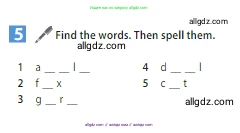 Английский язык (english), 5 класс Учебник (Student's book), авторы: Ваулина Юлия Евгеньевна (Vaulina Julia), Дули Дженни (Dooley Jenny), Подоляко Ольга Евгеньевна (Podolyako Olga), Эванс Вирджиния (Evans Virginia), издательство Просвещение, Москва, 2023, жёлтого цвета, страница 13, номер 5, Условие 2023-2027