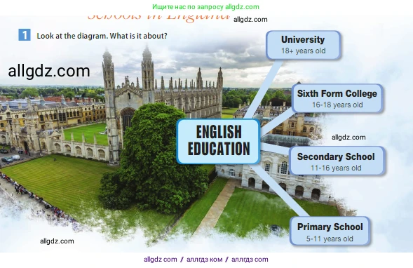 Английский язык (english), 5 класс Учебник (Student's book), авторы: Ваулина Юлия Евгеньевна (Vaulina Julia), Дули Дженни (Dooley Jenny), Подоляко Ольга Евгеньевна (Podolyako Olga), Эванс Вирджиния (Evans Virginia), издательство Просвещение, Москва, 2023, жёлтого цвета, страница 31, номер 1, Условие 2023-2027