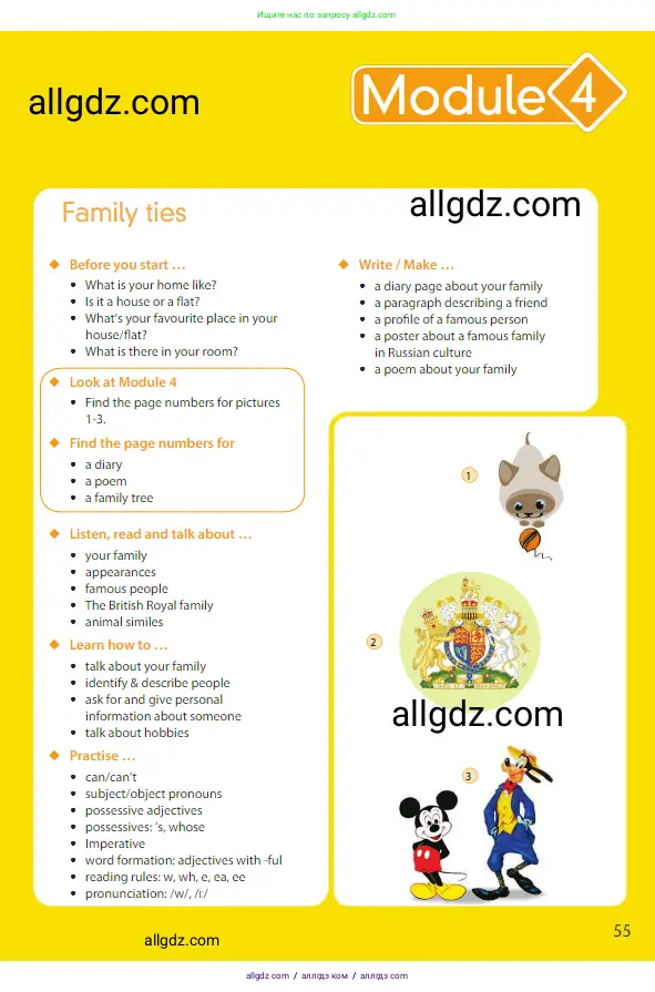 Английский язык (english), 5 класс Учебник (Student's book), авторы: Ваулина Юлия Евгеньевна (Vaulina Julia), Дули Дженни (Dooley Jenny), Подоляко Ольга Евгеньевна (Podolyako Olga), Эванс Вирджиния (Evans Virginia), издательство Просвещение, Москва, 2023, жёлтого цвета, страница 55