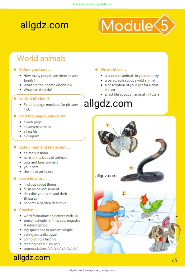 Английский язык (english), 5 класс Учебник (Student's book), авторы: Ваулина Юлия Евгеньевна (Vaulina Julia), Дули Дженни (Dooley Jenny), Подоляко Ольга Евгеньевна (Podolyako Olga), Эванс Вирджиния (Evans Virginia), издательство Просвещение, Москва, 2023, жёлтого цвета, страница 65