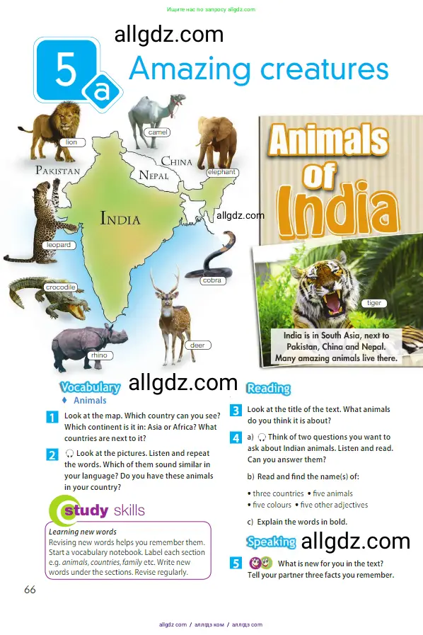 Английский язык (english), 5 класс Учебник (Student's book), авторы: Ваулина Юлия Евгеньевна (Vaulina Julia), Дули Дженни (Dooley Jenny), Подоляко Ольга Евгеньевна (Podolyako Olga), Эванс Вирджиния (Evans Virginia), издательство Просвещение, Москва, 2023, жёлтого цвета, страница 66