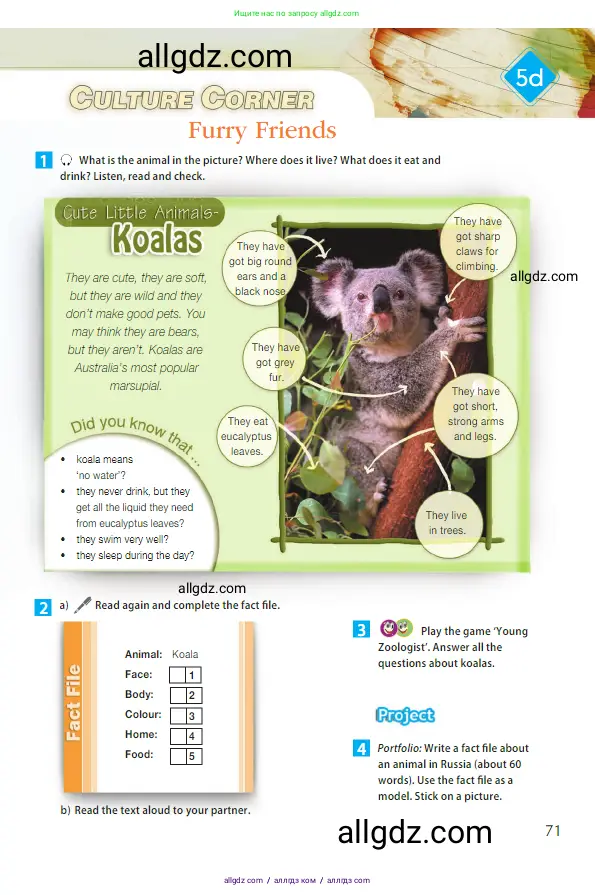 Английский язык (english), 5 класс Учебник (Student's book), авторы: Ваулина Юлия Евгеньевна (Vaulina Julia), Дули Дженни (Dooley Jenny), Подоляко Ольга Евгеньевна (Podolyako Olga), Эванс Вирджиния (Evans Virginia), издательство Просвещение, Москва, 2023, жёлтого цвета, страница 71