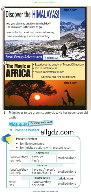 Английский язык (english), 5 класс Учебник (Student's book), авторы: Ваулина Юлия Евгеньевна (Vaulina Julia), Дули Дженни (Dooley Jenny), Подоляко Ольга Евгеньевна (Podolyako Olga), Эванс Вирджиния (Evans Virginia), издательство Просвещение, Москва, 2023, жёлтого цвета, страница 116, номер 3, Условие 2023-2027 (продолжение 2)