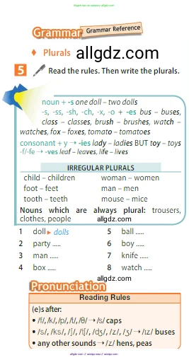 Английский язык (english), 5 класс Учебник (Student's book), авторы: Ваулина Юлия Евгеньевна (Vaulina Julia), Дули Дженни (Dooley Jenny), Подоляко Ольга Евгеньевна (Podolyako Olga), Эванс Вирджиния (Evans Virginia), издательство Просвещение, Москва, 2023, жёлтого цвета, страница 39, номер 5, Условие 2023-2027