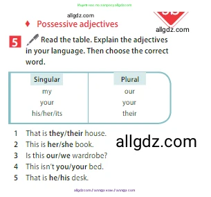 Английский язык (english), 5 класс Учебник (Student's book), авторы: Ваулина Юлия Евгеньевна (Vaulina Julia), Дули Дженни (Dooley Jenny), Подоляко Ольга Евгеньевна (Podolyako Olga), Эванс Вирджиния (Evans Virginia), издательство Просвещение, Москва, 2023, жёлтого цвета, страница 49, номер 5, Условие 2023-2027