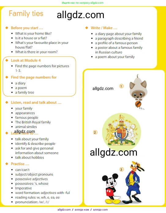 Английский язык (english), 5 класс Учебник (Student's book), авторы: Ваулина Юлия Евгеньевна (Vaulina Julia), Дули Дженни (Dooley Jenny), Подоляко Ольга Евгеньевна (Podolyako Olga), Эванс Вирджиния (Evans Virginia), издательство Просвещение, Москва, 2023, жёлтого цвета, страница 55, Условие 2023-2027