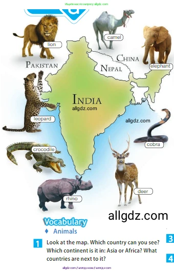 Английский язык (english), 5 класс Учебник (Student's book), авторы: Ваулина Юлия Евгеньевна (Vaulina Julia), Дули Дженни (Dooley Jenny), Подоляко Ольга Евгеньевна (Podolyako Olga), Эванс Вирджиния (Evans Virginia), издательство Просвещение, Москва, 2023, жёлтого цвета, страница 66, номер 1, Условие 2023-2027