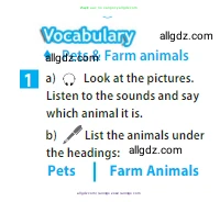 Английский язык (english), 5 класс Учебник (Student's book), авторы: Ваулина Юлия Евгеньевна (Vaulina Julia), Дули Дженни (Dooley Jenny), Подоляко Ольга Евгеньевна (Podolyako Olga), Эванс Вирджиния (Evans Virginia), издательство Просвещение, Москва, 2023, жёлтого цвета, страница 70, номер 1, Условие 2023-2027