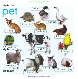 Английский язык (english), 5 класс Учебник (Student's book), авторы: Ваулина Юлия Евгеньевна (Vaulina Julia), Дули Дженни (Dooley Jenny), Подоляко Ольга Евгеньевна (Podolyako Olga), Эванс Вирджиния (Evans Virginia), издательство Просвещение, Москва, 2023, жёлтого цвета, страница 70, номер 1, Условие 2023-2027 (продолжение 2)