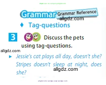 Английский язык (english), 5 класс Учебник (Student's book), авторы: Ваулина Юлия Евгеньевна (Vaulina Julia), Дули Дженни (Dooley Jenny), Подоляко Ольга Евгеньевна (Podolyako Olga), Эванс Вирджиния (Evans Virginia), издательство Просвещение, Москва, 2023, жёлтого цвета, страница 70, номер 3, Условие 2023-2027