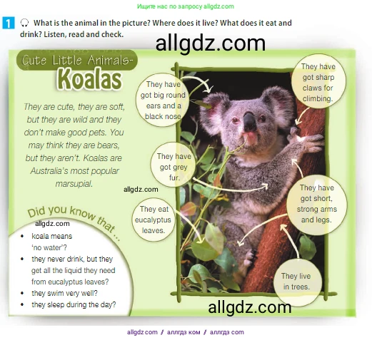 Английский язык (english), 5 класс Учебник (Student's book), авторы: Ваулина Юлия Евгеньевна (Vaulina Julia), Дули Дженни (Dooley Jenny), Подоляко Ольга Евгеньевна (Podolyako Olga), Эванс Вирджиния (Evans Virginia), издательство Просвещение, Москва, 2023, жёлтого цвета, страница 71, номер 1, Условие 2023-2027