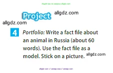 Английский язык (english), 5 класс Учебник (Student's book), авторы: Ваулина Юлия Евгеньевна (Vaulina Julia), Дули Дженни (Dooley Jenny), Подоляко Ольга Евгеньевна (Podolyako Olga), Эванс Вирджиния (Evans Virginia), издательство Просвещение, Москва, 2023, жёлтого цвета, страница 71, номер 4, Условие 2023-2027