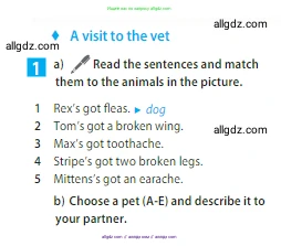 Английский язык (english), 5 класс Учебник (Student's book), авторы: Ваулина Юлия Евгеньевна (Vaulina Julia), Дули Дженни (Dooley Jenny), Подоляко Ольга Евгеньевна (Podolyako Olga), Эванс Вирджиния (Evans Virginia), издательство Просвещение, Москва, 2023, жёлтого цвета, страница 72, номер 1, Условие 2023-2027