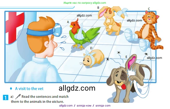 Английский язык (english), 5 класс Учебник (Student's book), авторы: Ваулина Юлия Евгеньевна (Vaulina Julia), Дули Дженни (Dooley Jenny), Подоляко Ольга Евгеньевна (Podolyako Olga), Эванс Вирджиния (Evans Virginia), издательство Просвещение, Москва, 2023, жёлтого цвета, страница 72, номер 1, Условие 2023-2027 (продолжение 2)