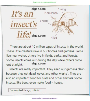 Английский язык (english), 5 класс Учебник (Student's book), авторы: Ваулина Юлия Евгеньевна (Vaulina Julia), Дули Дженни (Dooley Jenny), Подоляко Ольга Евгеньевна (Podolyako Olga), Эванс Вирджиния (Evans Virginia), издательство Просвещение, Москва, 2023, жёлтого цвета, страница 73, номер 4, Условие 2023-2027 (продолжение 2)