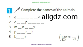 Английский язык (english), 5 класс Учебник (Student's book), авторы: Ваулина Юлия Евгеньевна (Vaulina Julia), Дули Дженни (Dooley Jenny), Подоляко Ольга Евгеньевна (Podolyako Olga), Эванс Вирджиния (Evans Virginia), издательство Просвещение, Москва, 2023, жёлтого цвета, страница 74, номер 1, Условие 2023-2027