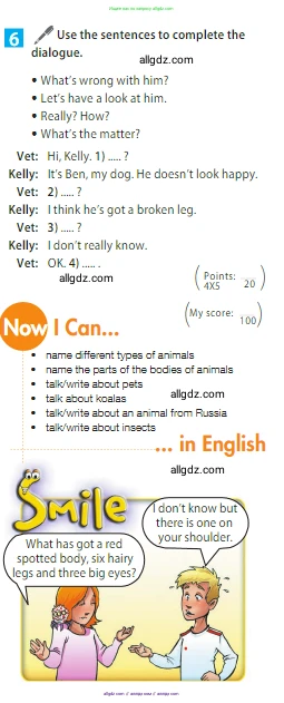 Английский язык (english), 5 класс Учебник (Student's book), авторы: Ваулина Юлия Евгеньевна (Vaulina Julia), Дули Дженни (Dooley Jenny), Подоляко Ольга Евгеньевна (Podolyako Olga), Эванс Вирджиния (Evans Virginia), издательство Просвещение, Москва, 2023, жёлтого цвета, страница 74, номер 6, Условие 2023-2027