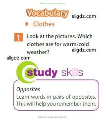 Английский язык (english), 5 класс Учебник (Student's book), авторы: Ваулина Юлия Евгеньевна (Vaulina Julia), Дули Дженни (Dooley Jenny), Подоляко Ольга Евгеньевна (Podolyako Olga), Эванс Вирджиния (Evans Virginia), издательство Просвещение, Москва, 2023, жёлтого цвета, страница 88, номер 1, Условие 2023-2027