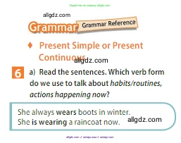 Английский язык (english), 5 класс Учебник (Student's book), авторы: Ваулина Юлия Евгеньевна (Vaulina Julia), Дули Дженни (Dooley Jenny), Подоляко Ольга Евгеньевна (Podolyako Olga), Эванс Вирджиния (Evans Virginia), издательство Просвещение, Москва, 2023, жёлтого цвета, страница 89, номер 6, Условие 2023-2027
