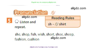 Английский язык (english), 5 класс Учебник (Student's book), авторы: Ваулина Юлия Евгеньевна (Vaulina Julia), Дули Дженни (Dooley Jenny), Подоляко Ольга Евгеньевна (Podolyako Olga), Эванс Вирджиния (Evans Virginia), издательство Просвещение, Москва, 2023, жёлтого цвета, страница 92, номер 5, Условие 2023-2027