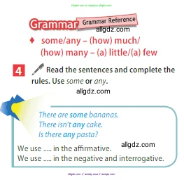 Английский язык (english), 5 класс Учебник (Student's book), авторы: Ваулина Юлия Евгеньевна (Vaulina Julia), Дули Дженни (Dooley Jenny), Подоляко Ольга Евгеньевна (Podolyako Olga), Эванс Вирджиния (Evans Virginia), издательство Просвещение, Москва, 2023, жёлтого цвета, страница 99, номер 4, Условие 2023-2027